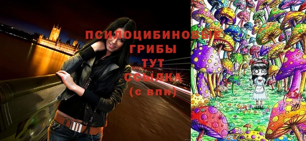 прущая мука Арсеньев