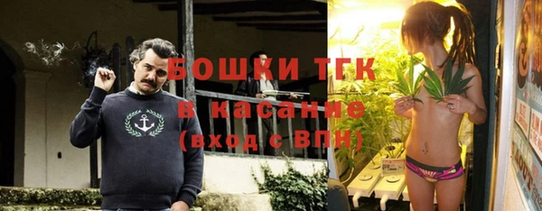 прущая мука Арсеньев