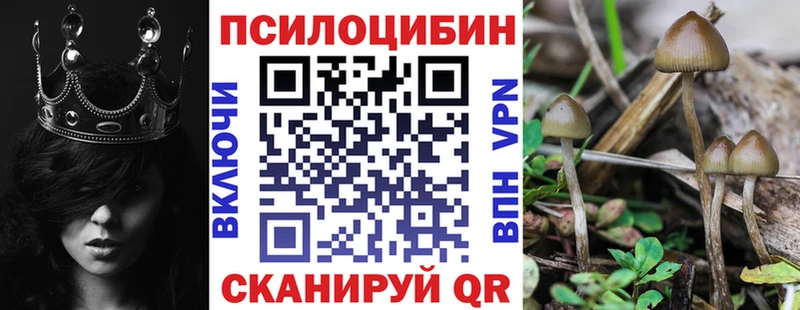 Псилоцибиновые грибы Psilocybine cubensis Белая Калитва